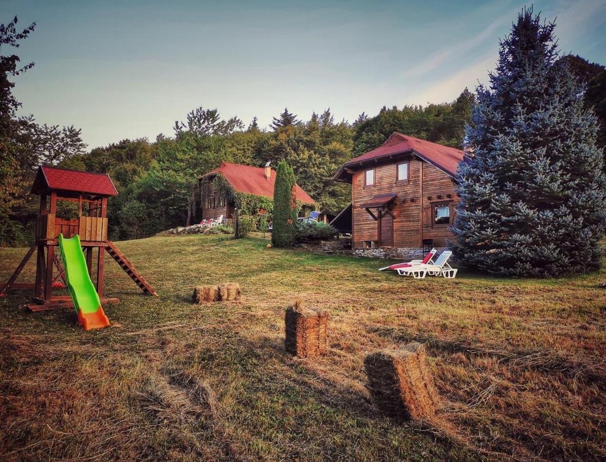 Woodenhouse With Two Apartments Otočac Exteriér fotografie