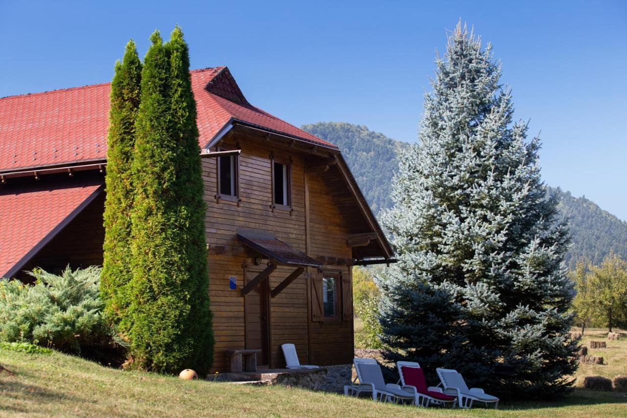 Woodenhouse With Two Apartments Otočac Exteriér fotografie